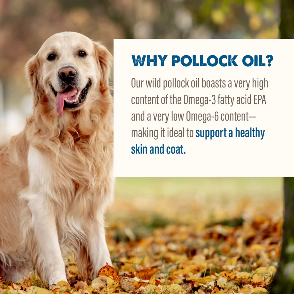 Grizzly Pollock Oil for Dogs - Image 10