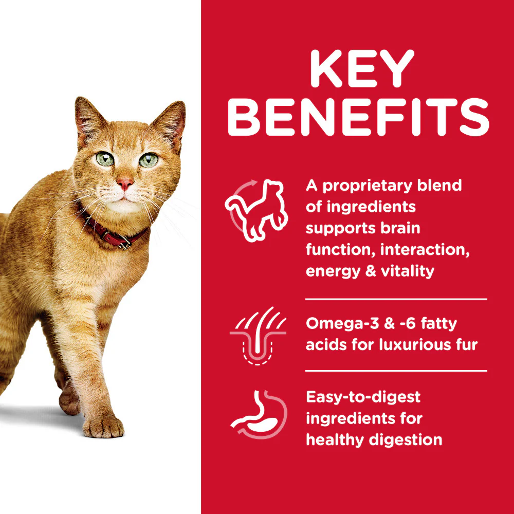 Hill's Science Diet Adult 7+ Senior Vitality Chicken & Rice Recipe Dry Cat Food - Image 5