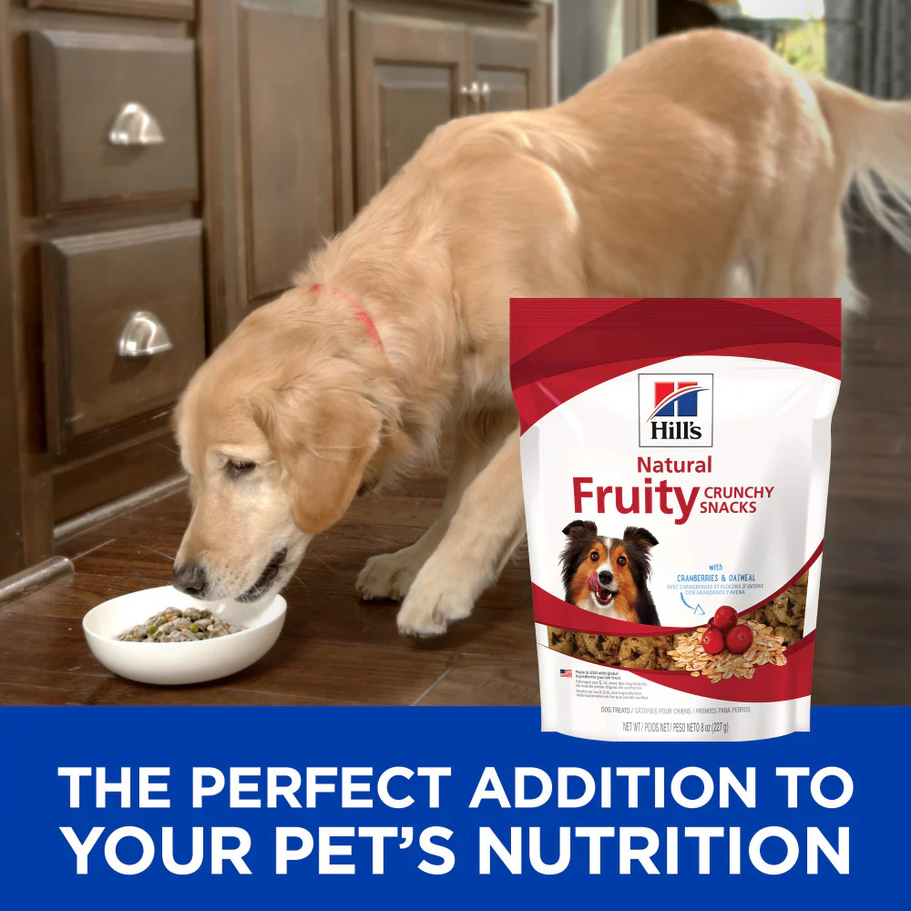Hill's Science Diet Fruity Snacks with Cranberry & Oatmeal Dog Treats - Image 7