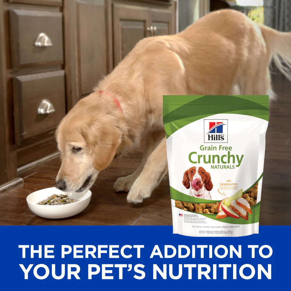 Hill's Science Diet Grain Free with Chicken & Apples Dog Treats - Image 7