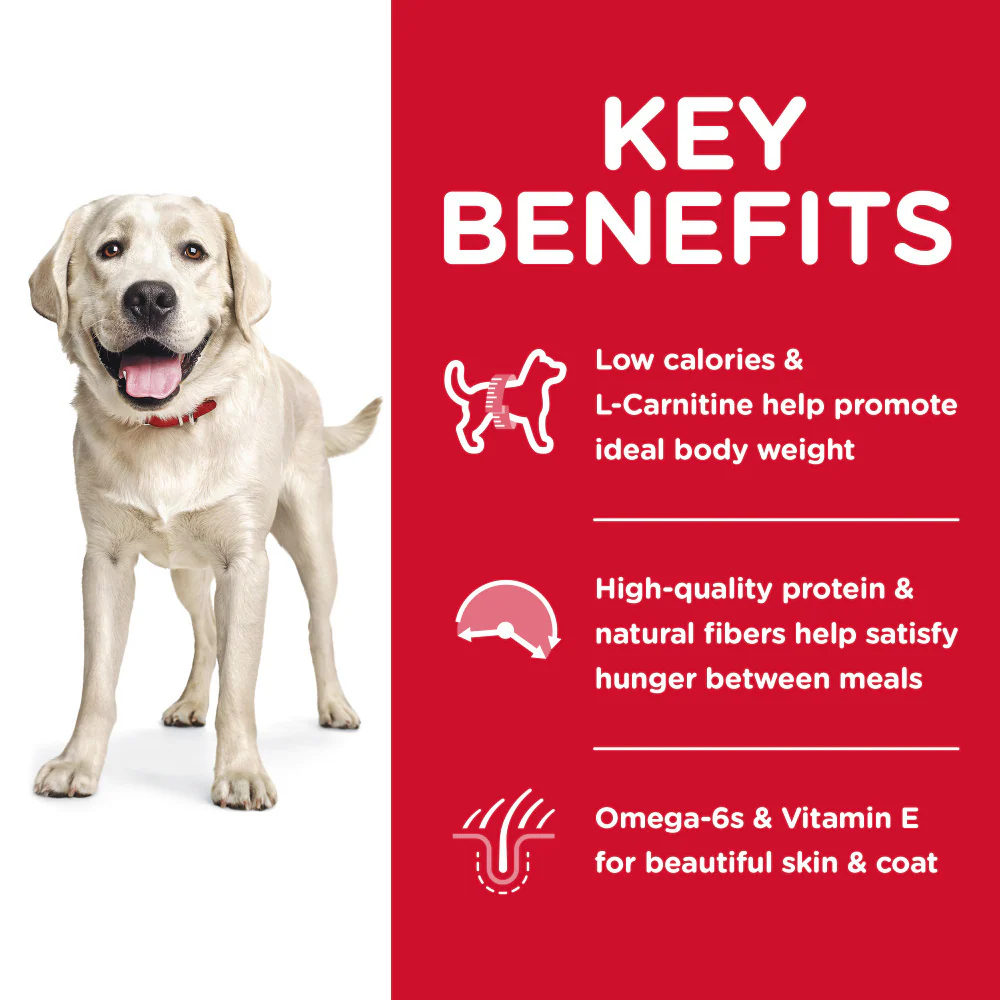 Hill's Science Diet Adult LG Breed Light Chicken Meal & Barley Dry Dog Food - Image 3