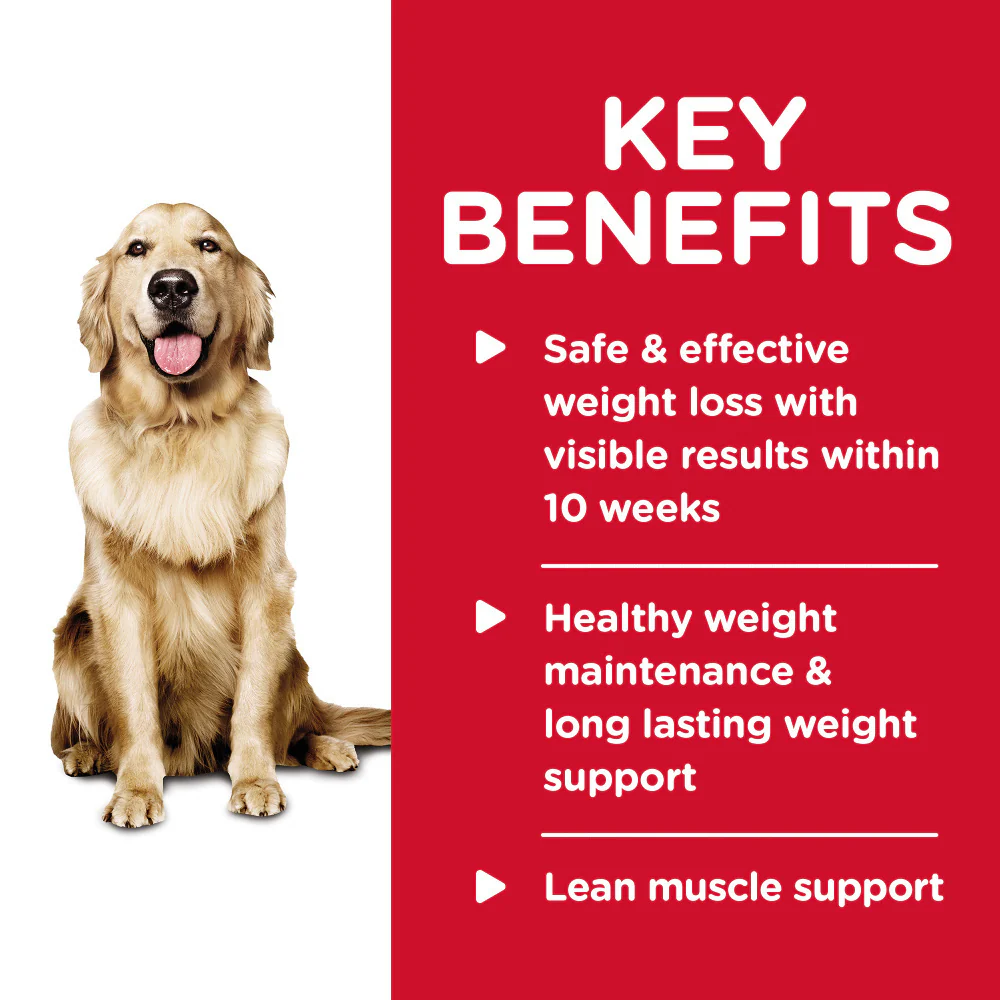Hill's Science Diet Adult Perfect Weight Hearty Vegetable & Chicken Stew Canned Dog Food - Image 3
