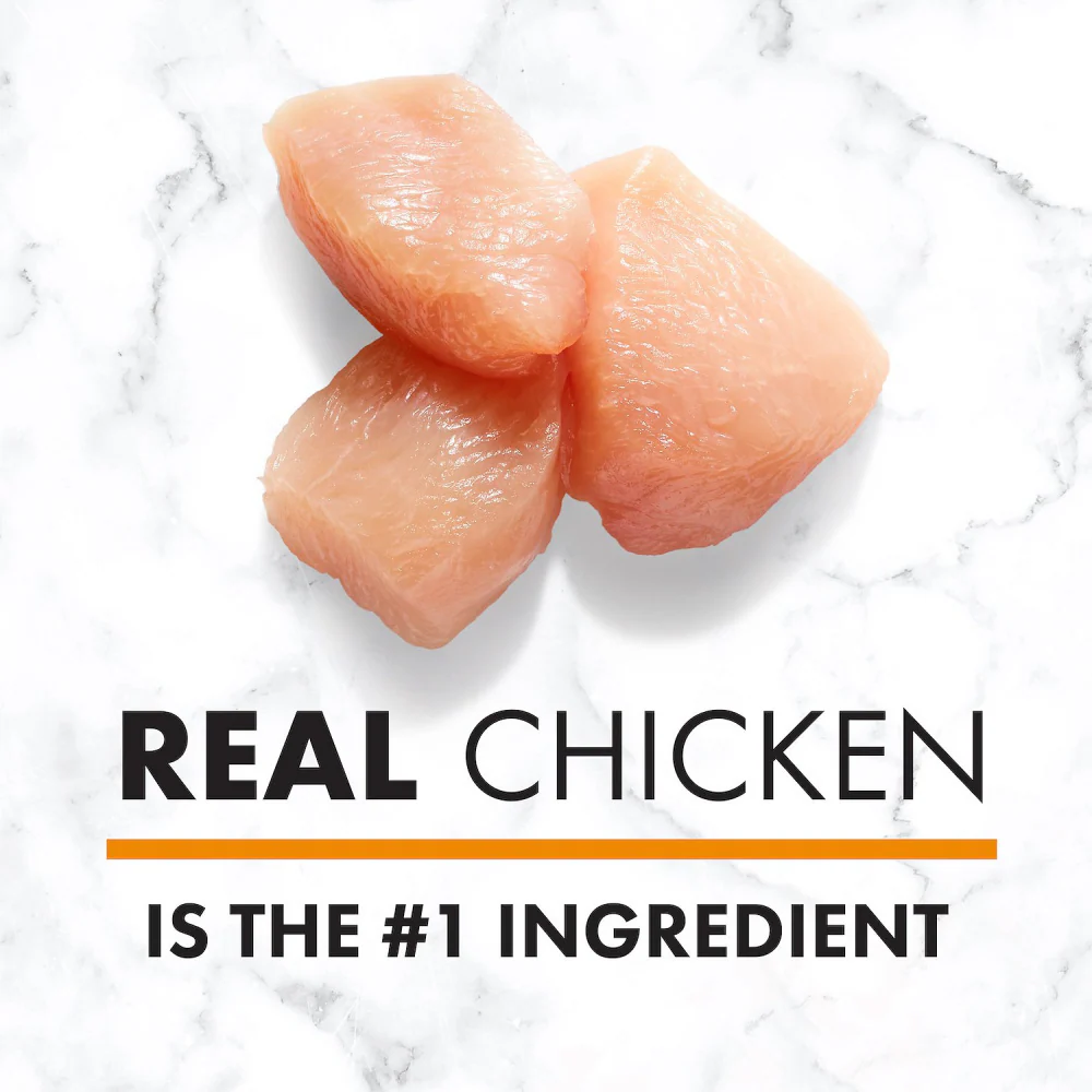 Nutro Wholesome Essentials Small Breed Adult Farm-Raised Chicken, Brown Rice & Sweet Potato Dry Dog Food - Image 4