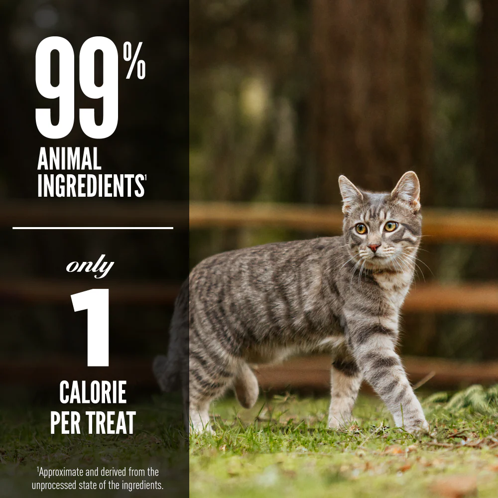 ORIJEN Freeze Dried Regional Red Cat Treats - Image 3