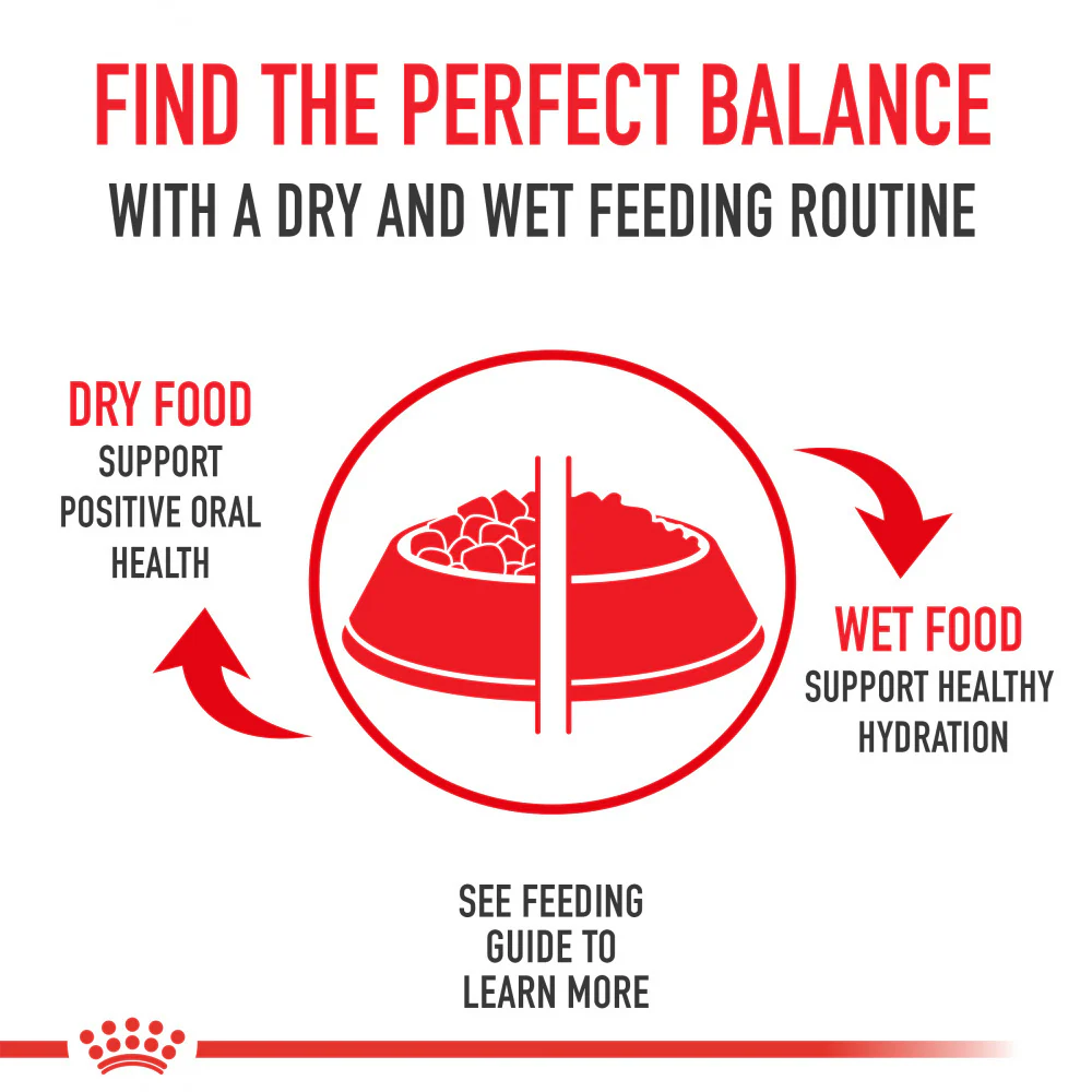 Royal Canin Feline Breed Nutrition Persian Dry Cat Food - Image 4