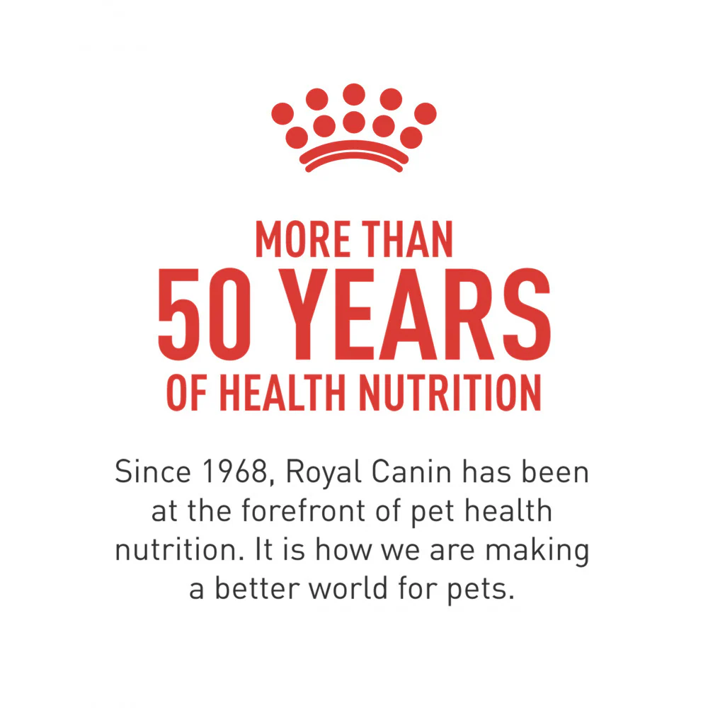 Royal Canin Feline Breed Nutrition Persian Dry Cat Food - Image 5