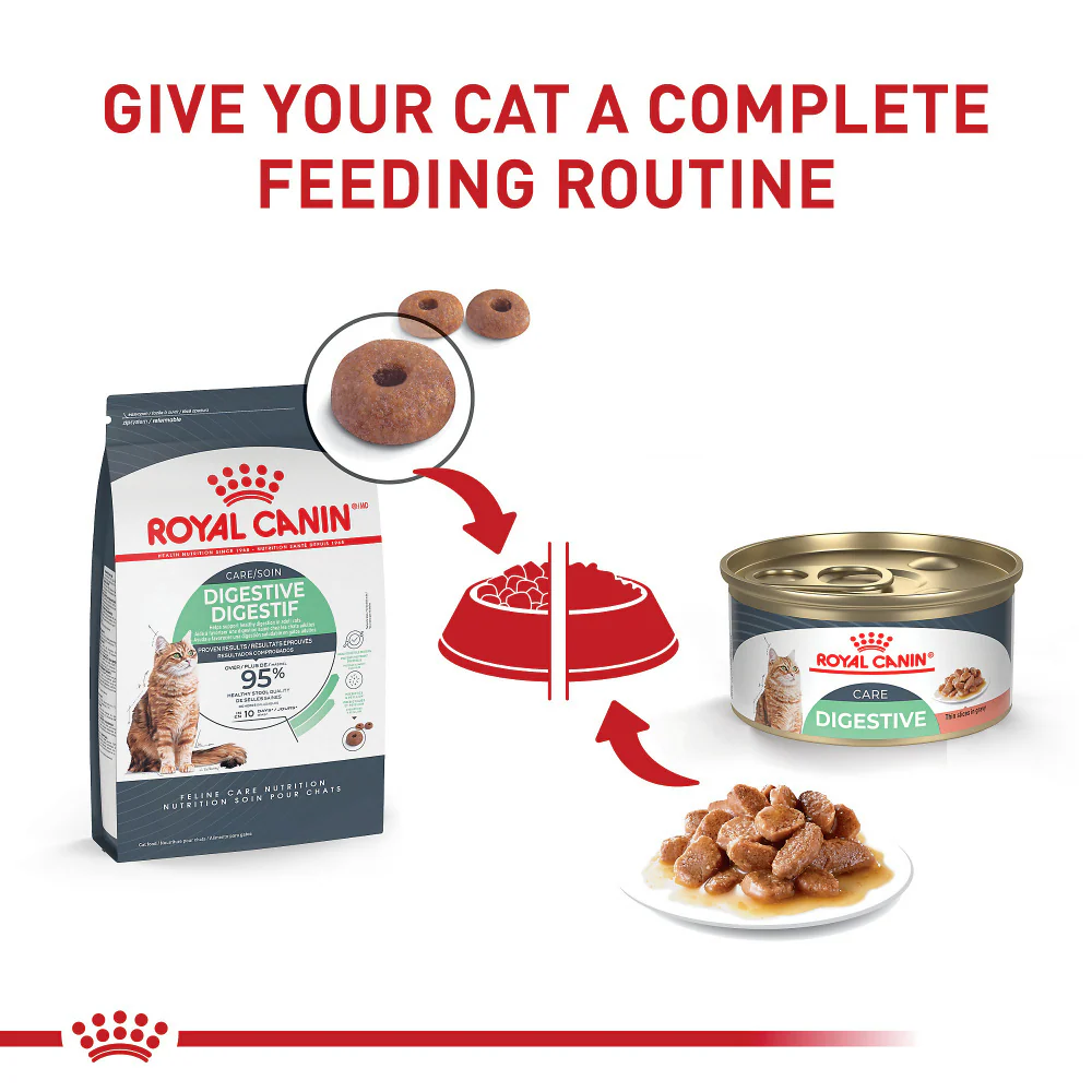Royal Canin Feline Nutrition Digestive Sensitive Thin Slices in Gravy Canned Cat Food - Image 3