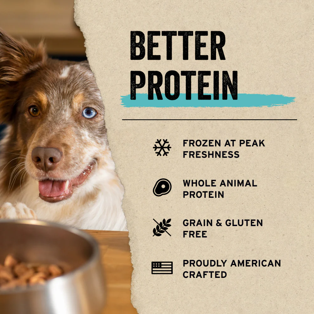Vital Essentials Freeze Dried Beef Tripe Nibblets Grain Free Limited Ingredient Dog Treats - Image 5