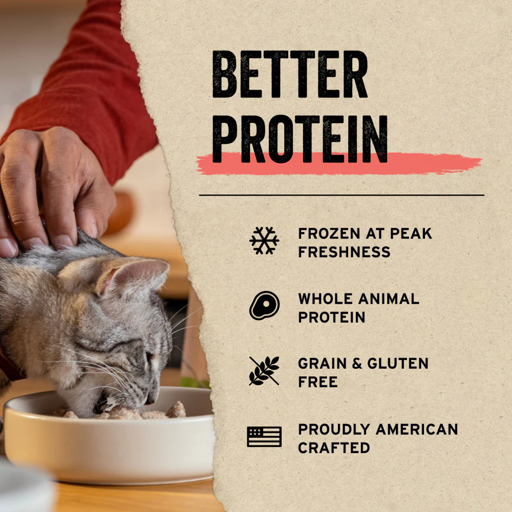 Vital Essentials Vital Cat Freeze Dried Grain Free Chicken Breast Cat Treats - Image 6