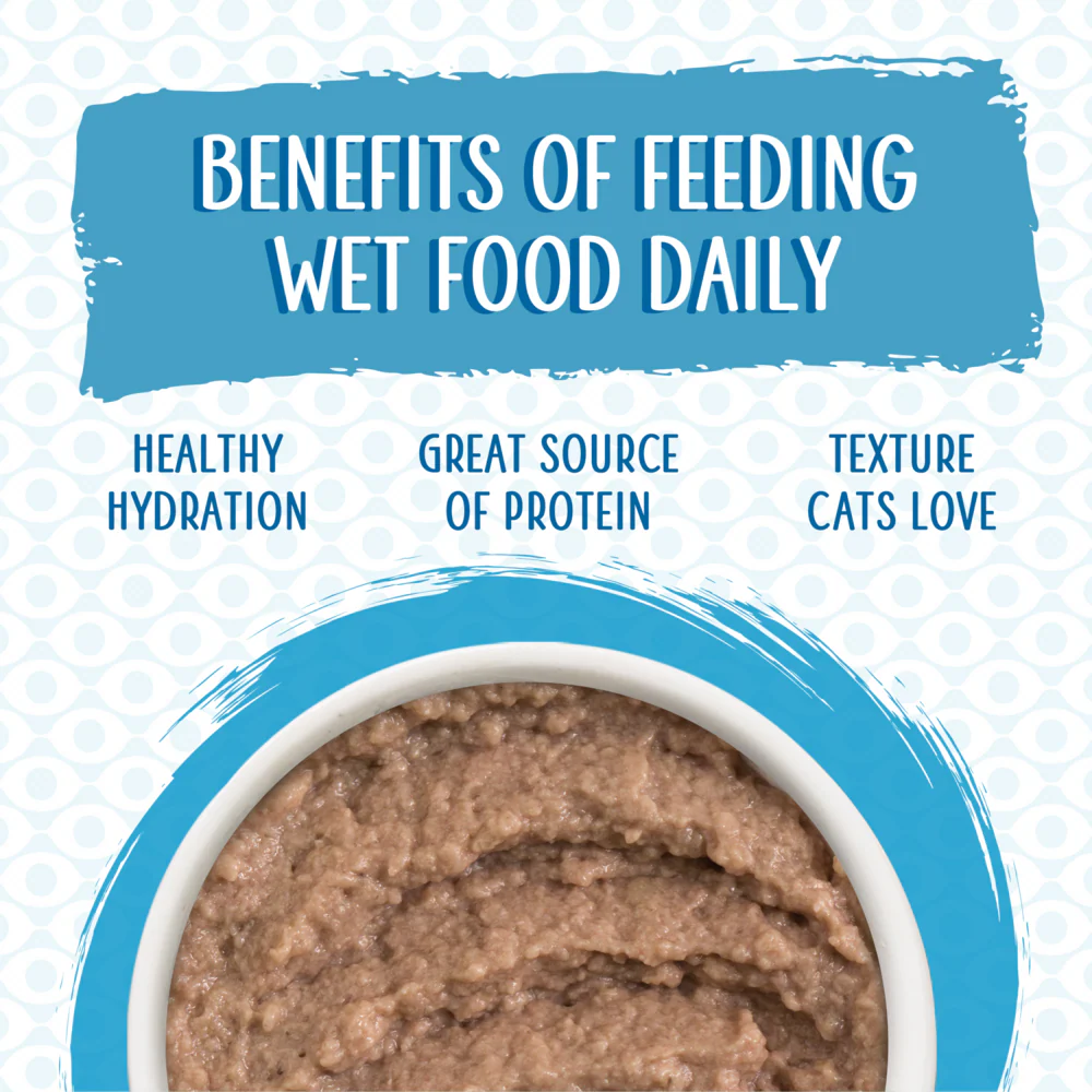 Weruva Slide N' Serve Grain Free Jeopurrdy Licious Chicken Dinner Wet Cat Food Pouch - Image 4