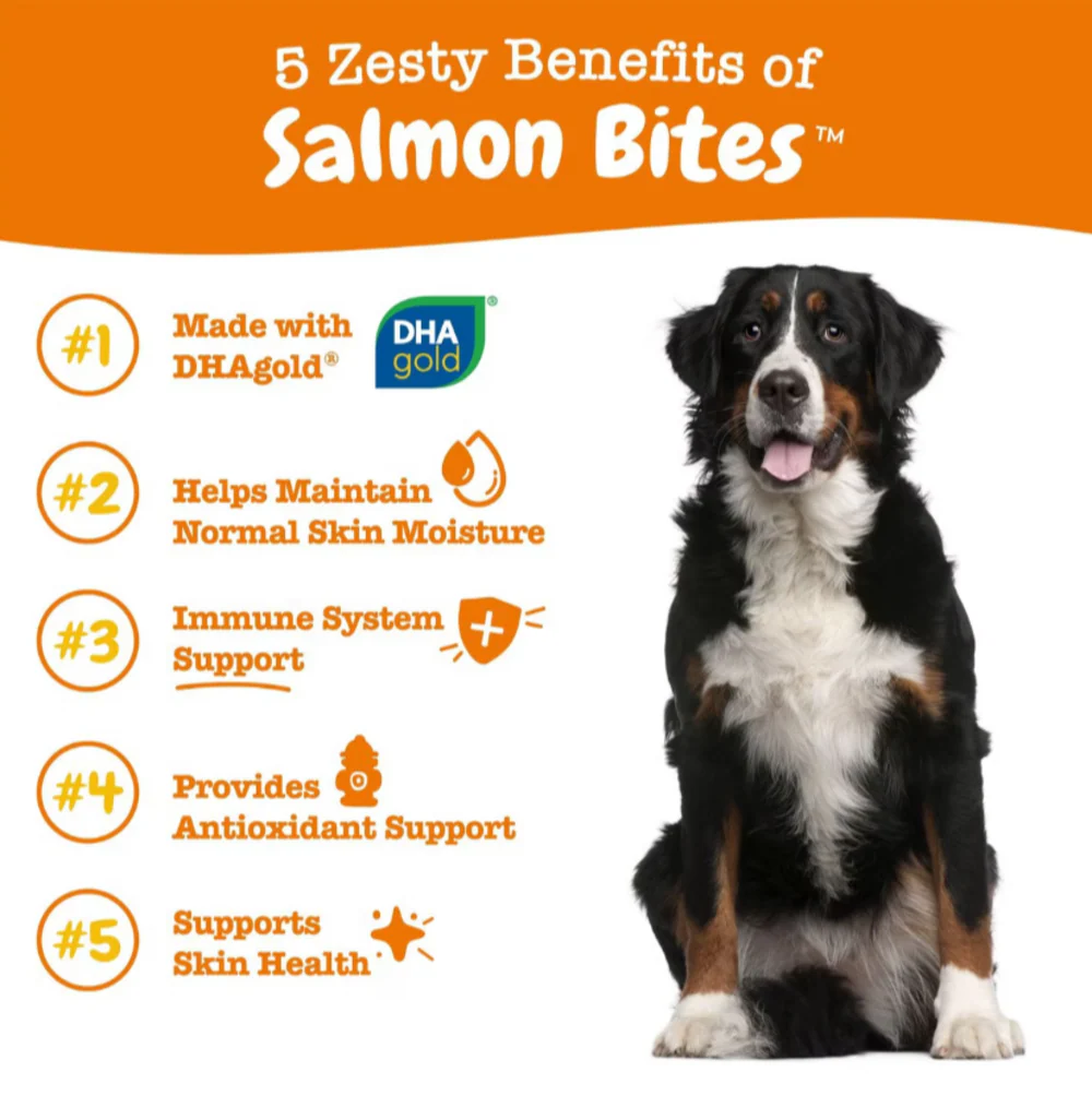 Zesty Paws Salmon Bites - Image 3