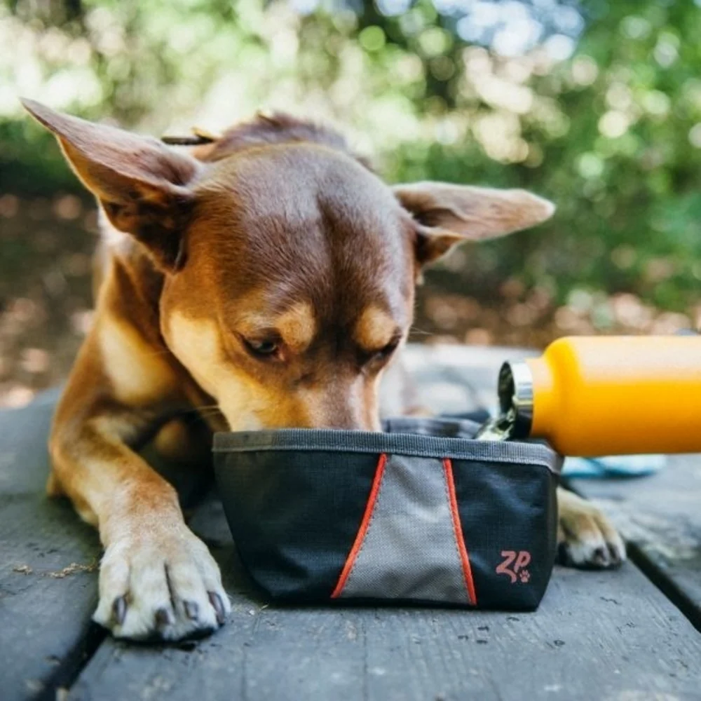 ZippyPaws Adventure Bowl For Dogs - Image 6